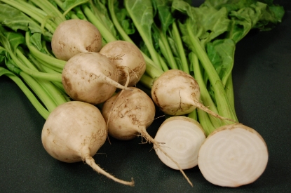 Picture of Beetroot Avalanche F1